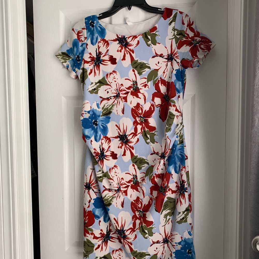 Pinkblush Small Maternity Dress
